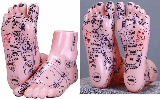 Акупунктурные точки массажа на которые воздействует Массажер для ступней ног LymphaNorm Foot Master